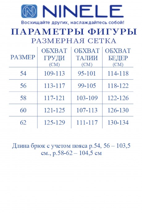 Костюм/комплект NINELE (Нинель Шик ) 5733 Темно-синий размер 54-62 #10