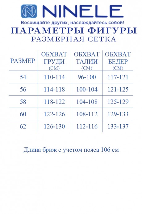 Костюм/комплект NINELE (Нинель Шик ) 2273 синий размер 54-62 #8