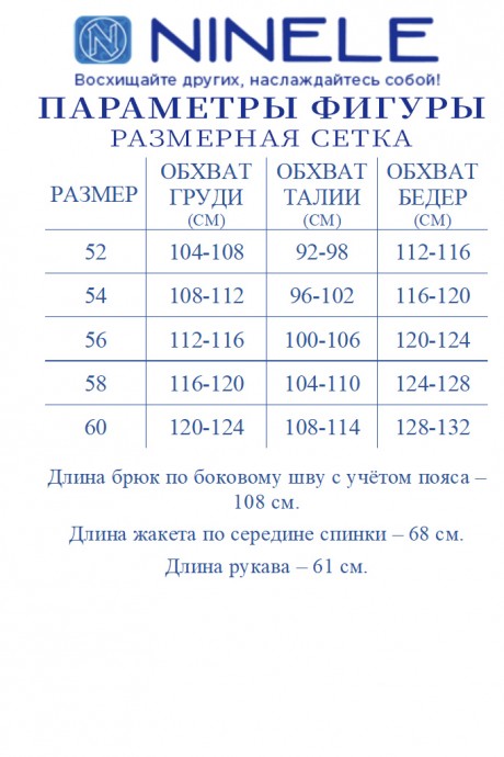 Костюм/комплект NINELE (Нинель Шик ) 7477 серебро размер 52-60 #10