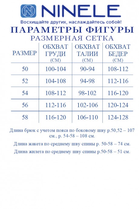 Костюм/комплект NINELE (Нинель Шик ) 6047 синий размер 50-58 #10